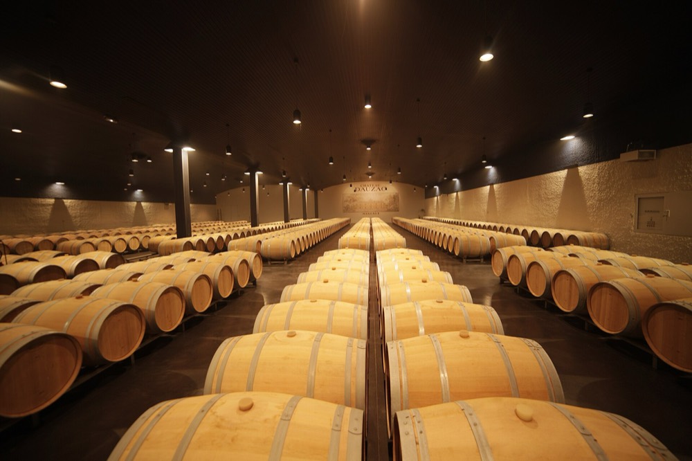 Barrel hall with rows of oak barriques