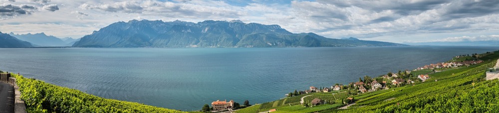Vineyard terraces above a lake with mountains beyond